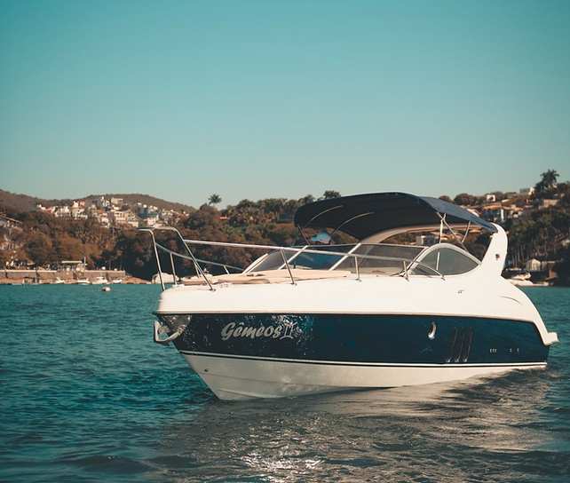 Phantom 290 Gêmeos II